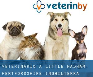 veterinario a Little Hadham (Hertfordshire, Inghilterra)