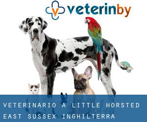 veterinario a Little Horsted (East Sussex, Inghilterra)