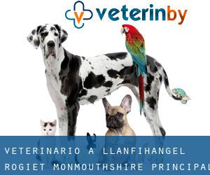 veterinario a Llanfihangel Rogiet (Monmouthshire principal area, Galles)