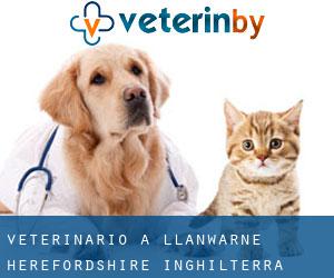 veterinario a Llanwarne (Herefordshire, Inghilterra)
