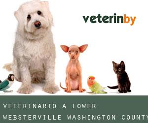 veterinario a Lower Websterville (Washington County, Vermont)