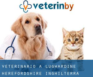 veterinario a Lugwardine (Herefordshire, Inghilterra)