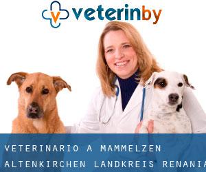 veterinario a Mammelzen (Altenkirchen Landkreis, Renania-Palatinato)