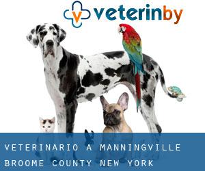 veterinario a Manningville (Broome County, New York)