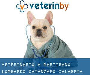 veterinario a Martirano Lombardo (Catanzaro, Calabria)