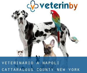 veterinario a Napoli (Cattaraugus County, New York)