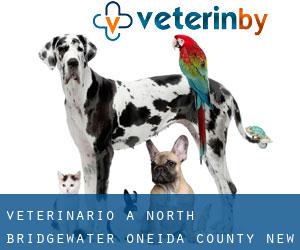 veterinario a North Bridgewater (Oneida County, New York)