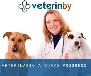 veterinario a Nuevo Progreso