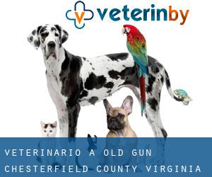 veterinario a Old Gun (Chesterfield County, Virginia)