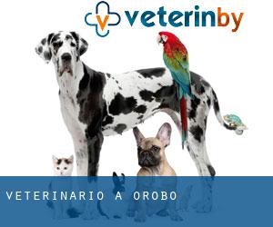 veterinario a Orobó