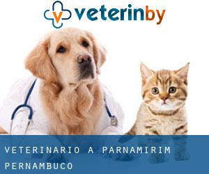 veterinario a Parnamirim (Pernambuco)