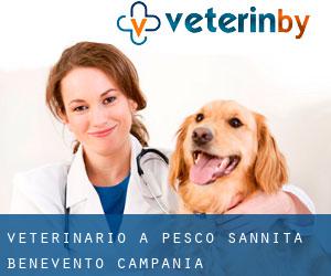 veterinario a Pesco Sannita (Benevento, Campania)