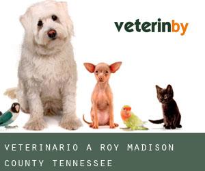 veterinario a Roy (Madison County, Tennessee)