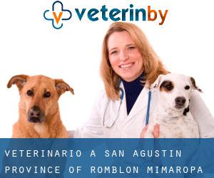 veterinario a San Agustin (Province of Romblon, Mimaropa)