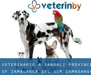 veterinario a Sangali (Province of Zamboanga del Sur, Zamboanga Peninsula)