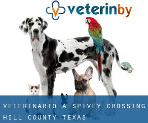 veterinario a Spivey Crossing (Hill County, Texas)