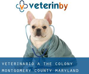 veterinario a The Colony (Montgomery County, Maryland)