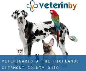 veterinario a The Highlands (Clermont County, Ohio)