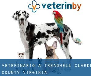 veterinario a Treadwell (Clarke County, Virginia)