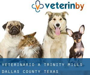 veterinario a Trinity Mills (Dallas County, Texas)