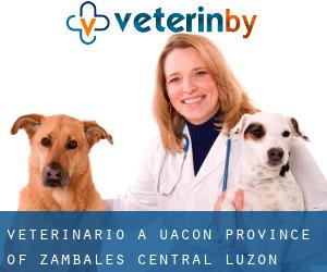 veterinario a Uacon (Province of Zambales, Central Luzon)