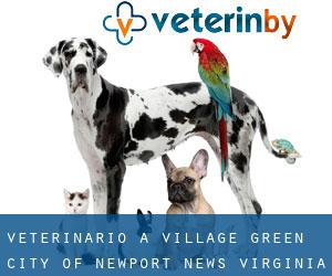 veterinario a Village Green (City of Newport News, Virginia)