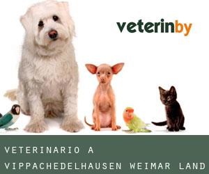 veterinario a Vippachedelhausen (Weimar-Land, Turingia)