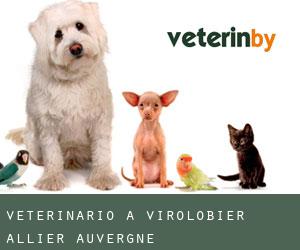 veterinario a Virolobier (Allier, Auvergne)