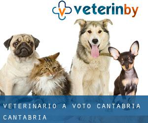 veterinario a Voto (Cantabria, Cantabria)