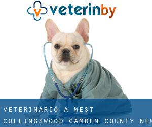 veterinario a West Collingswood (Camden County, New Jersey)
