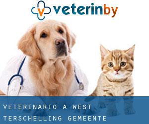 veterinario a West-Terschelling (Gemeente Terschelling, Frisia)
